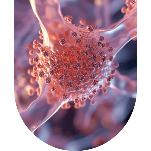 Stem Cell By Erth Wellness